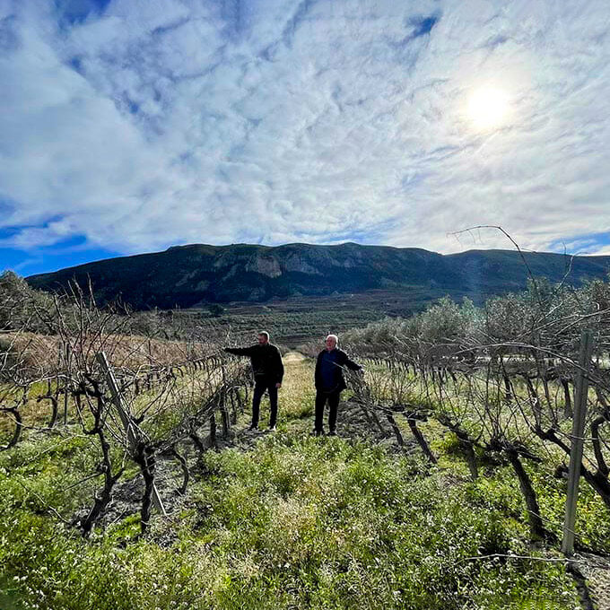 bodega-vinos-de-mar-y-montanya