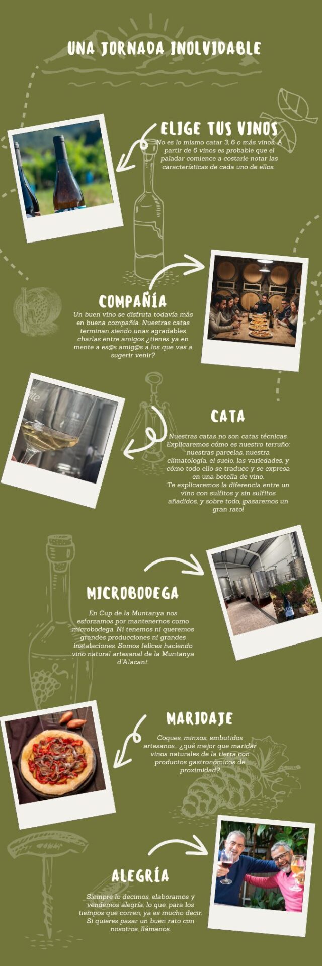 Cómo son nuestras catas en la bodega Cup de la Muntanya